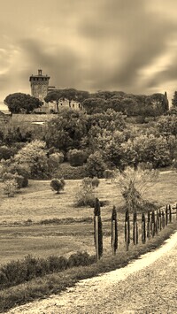 Szary + Sepia