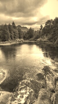 Sepia