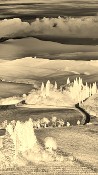 Sepia + Negatyw