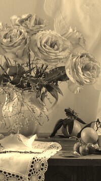 Szary + Sepia