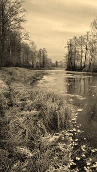 Szary + Sepia