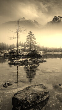 Szary + Sepia