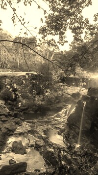 Sepia