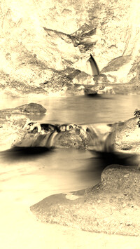 Sepia + Negatyw