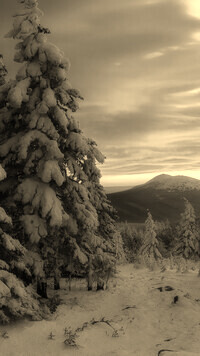 Sepia