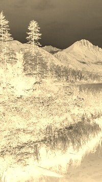 Sepia + Negatyw