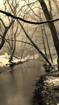 Sepia
