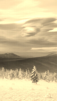 Sepia