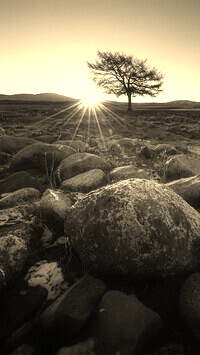 Szary + Sepia