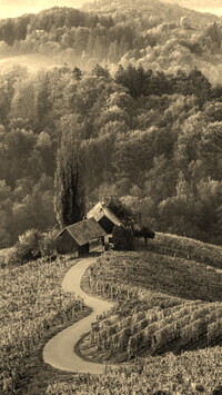 Szary + Sepia