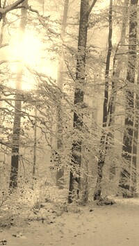 Szary + Sepia