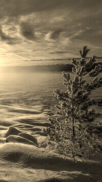 Sepia