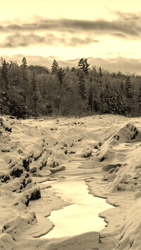 Sepia