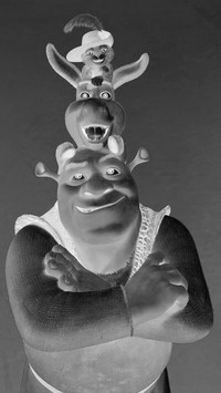 Szary + Negatyw