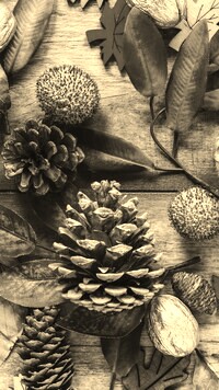 Szary + Sepia