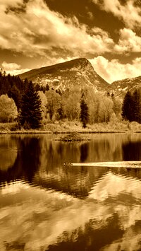 Sepia