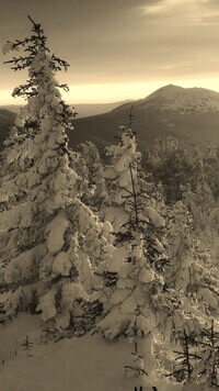 Sepia