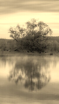 Szary + Sepia