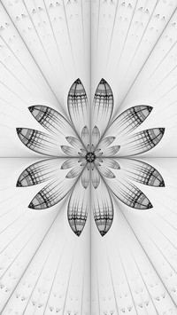 Szary + Negatyw