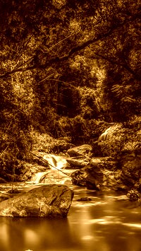 Sepia