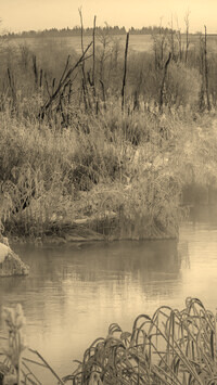 Szary + Sepia