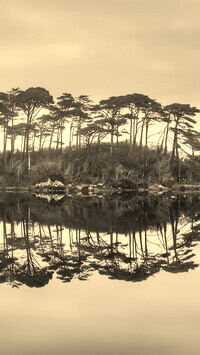 Szary + Sepia