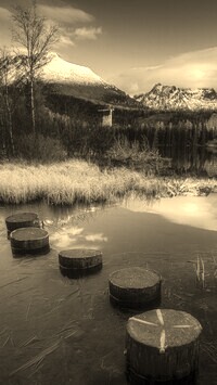 Sepia