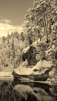 Szary + Sepia
