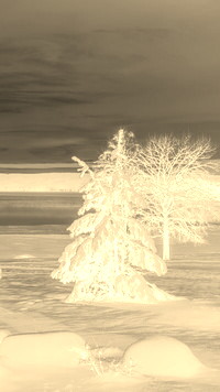 Sepia + Negatyw