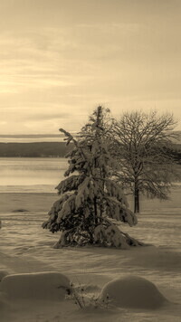 Sepia
