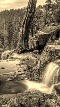 Sepia