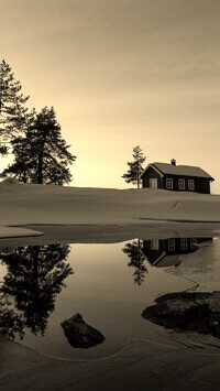 Szary + Sepia