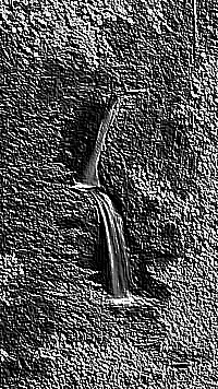 Skamielina