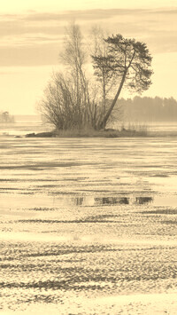 Szary + Sepia
