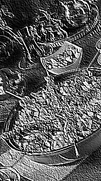 Skamielina