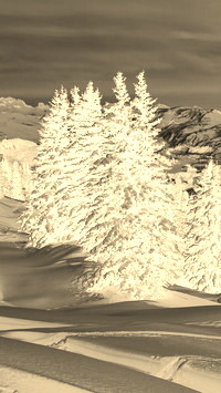Sepia + Negatyw