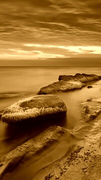 Sepia