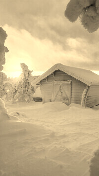 Sepia