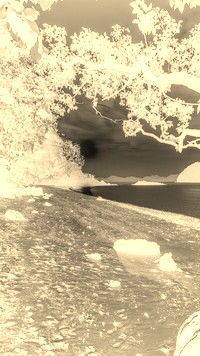 Sepia + Negatyw