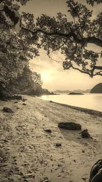 Szary + Sepia