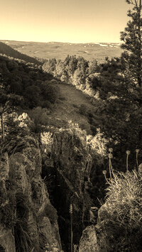 Szary + Sepia
