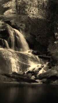 Sepia