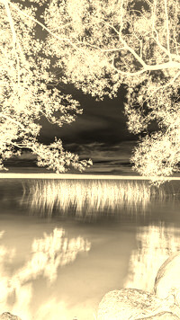 Sepia + Negatyw