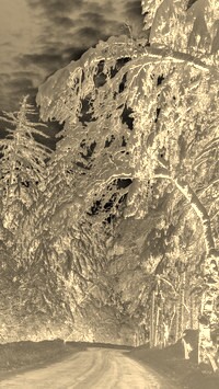 Sepia + Negatyw