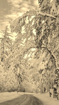 Sepia