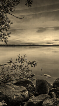 Szary + Sepia