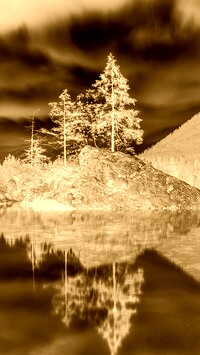 Sepia + Negatyw