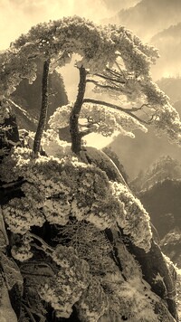 Szary + Sepia