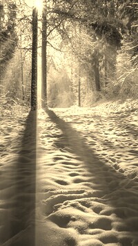 Szary + Sepia