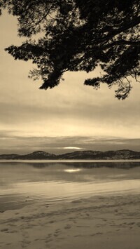 Szary + Sepia
